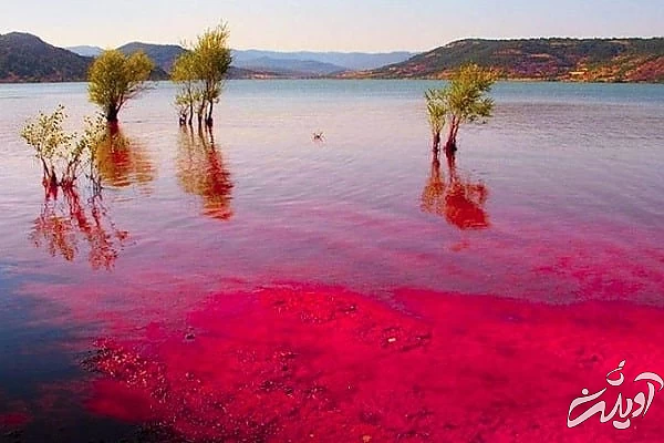 تالاب لیپار 